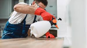 Emergency Pest Control in Rosewood Heights, IL